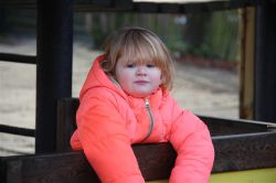 IMG_0446
